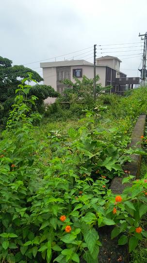 Radha enclave do bachi road Sahastradhara road Main Image 1