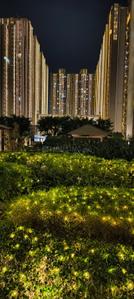 Image of 2070 Sq.ft 3 BHK Apartment / Flat for rent in ABA Cleo County, Sector 121, Noida for Rs. 75000