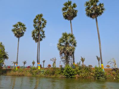 Image of 167 Sq.ft Residential Plot / Land for sale in Bhogapuram, Visakhapatnam for Rs. 3089505