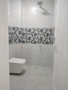 Common Bathroom Image of 1000 Sq.ft 2 BHK Apartment / Flat for sale in Neb Sarai New Delhi for Rs. 5500000