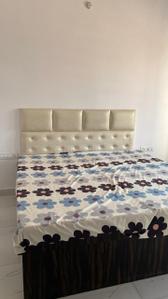 Bedroom Image of 1500 Sq.ft 2 BHK Builder Floor for rent in Model Town Bathinda for Rs. 18000