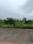 Aarone County Walk Plots Main Image 1