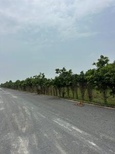 Image of 7000 Sq.ft Residential Plot / Land for sale in Chhachhanpairi, Raipur for Rs. 7700000