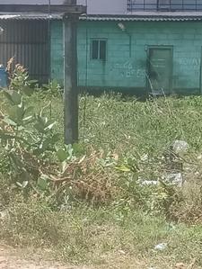 Image of 4243 Sq.ft Residential Plot / Land for sale in Suleeswaranpatti, Pollachi for Rs. 8766000