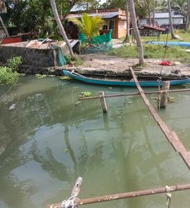 Image of 5488 Sq.ft Residential Plot / Land for sale in Panangad, Kochi for Rs. 176400000