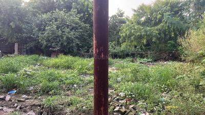 Pallav Puram Phase II Plot View 3