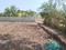 Sarde Plot View 2