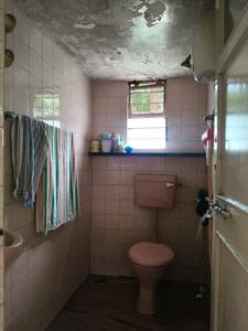 Common Bathroom Three Image of 919 Sq.ft 2 BHK Apartment / Flat for rent in Pashan Pune for Rs. 40000