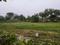 Vatika India Next Plot Main Image 1