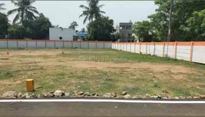 Residential Plot