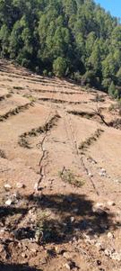 Image of 300 Sq.ft Residential Plot / Land for sale in Kausani, Almora for Rs. 2550000