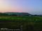 IIT simrool Plot View 2