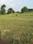 Sherpur Plot View 2