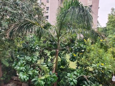 Image of 1125 Sq.ft 2 BHK Apartment / Flat for sale in Shyamal, Ahmedabad for Rs. 9000000
