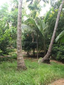 Image of 21780 Sq.ft Residential Plot / Land for sale in Cherpu, Thrissur for Rs. 7500000