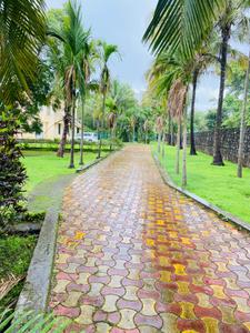Image of 4200 Sq.ft 2 BHK Independent House for rent in Shri Swami Samartha Nagar, Alibag for Rs. 60000