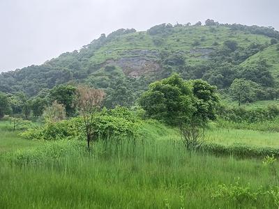 Image of 1089 Sq.ft Residential Plot / Land for sale in Invest Mahamumbai Plots In Uran, Uran, Navi Mumbai for Rs. 255600