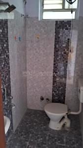 Image of 1050 Sq.ft 2 BHK Apartment / Flat for rent in Landmark Radhe Regency, Hukma Khedi, Indore for Rs. 12000