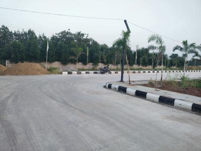 Residential Plot