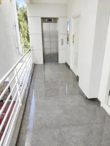 Balcony Image of 550 Sq.ft 1 BHK Builder Floor for rent in Doddakannelli Bengaluru for Rs. 17500