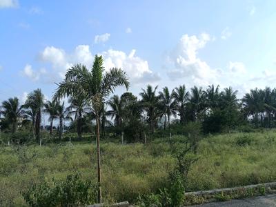 Image of 1000 Sq.ft Residential Plot / Land for sale in Kharadi, Pune for Rs. 800000