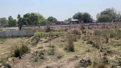 Agricultural Land