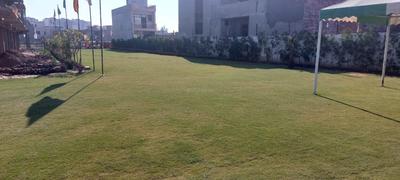 Image of 1650 Sq.ft 3 BHK Builder Floor for sale in Bollywood Essencia, Gazipur, Zirakpur for Rs. 8590000