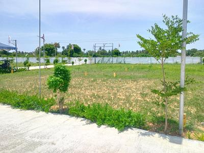 Residential Plot