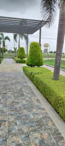 Image of 1000 Sq.ft Residential Plot / Land for sale in Super Corridor, Indore for Rs. 4250000