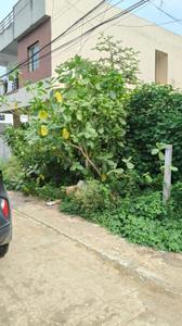 Danish Kunj Plot View 1