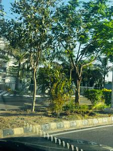 Image of 170 Sq.ft Residential Plot / Land for sale in Manohar The Palm Residency, New Chandigarh, Chandigarh for Rs. 16200000