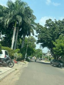 Image of 4500 Sq.ft 3 BHK Independent House for sale in Sector 60, Mohali for Rs. 120000000