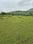 Pandav Nagari, Pathardi Phata Main Image 1