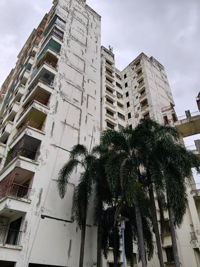 hilland cyprass Main Image 1