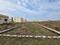 Atala Plot View 2