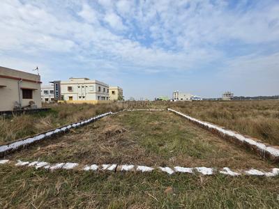 Atala Plot View 2