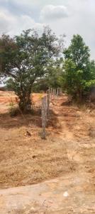 Image of 21780 Sq.ft Residential Plot / Land for sale in Shoolagiri, Krishnagiri for Rs. 3500000