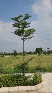 Sector 3 Faruknagar Plot View 2