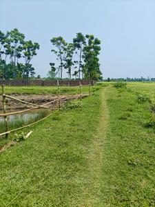 Sonarpur Plot View 2