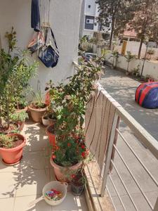 Balcony Image of 600 Sq.ft 2 BHK Apartment / Flat for sale in Aswani Aaeesha by Aswani Properties, Electronic City Bengaluru for Rs. 4050000