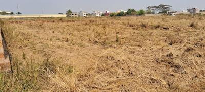 Infovalley Plot View 3