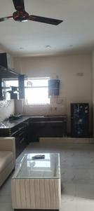 Hall Image of 503 Sq.ft 1 BHK Apartment / Flat for sale in Pivotal Paradise, Sector 62 Gurgaon for Rs. 5650000