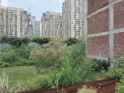 Residential Plot