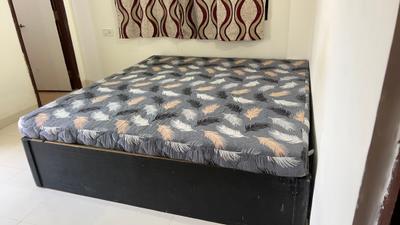 Bedroom Image of 700 Sq.ft 1 BHK Apartment / Flat for rent in Shekhar Planet, Vijay Nagar Indore for Rs. 20799