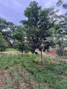 Image of 87120 Sq.ft Residential Plot / Land for sale in  Jayaram Layout, Ragihalli State Forest, Bengaluru for Rs. 25000000