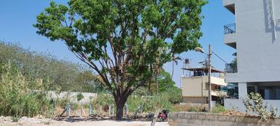 Vijayashree Layout Plot View 3