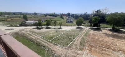 Doiwala Plot View 2