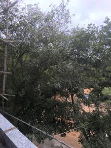 Bedroom Three Image of 3150 Sq.ft 5 BHK Apartment / Flat for sale in Bangalore City Municipal Corporation Layout Bengaluru for Rs. 29000100