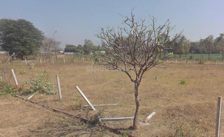 Chandshi Main Image 1