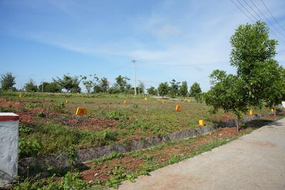 Devanahalli Plot View 2